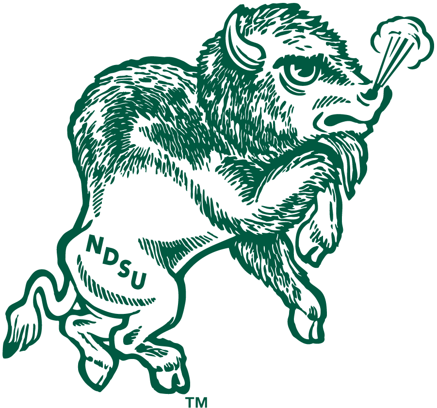 North Dakota State Bison 1972-1999 Primary Logo diy DTF decal sticker